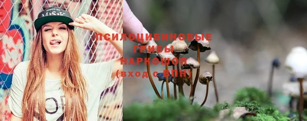круглые Алзамай