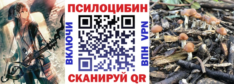 купить наркотики цена  мориарти формула  Галлюциногенные грибы Psilocybe  Кореновск 